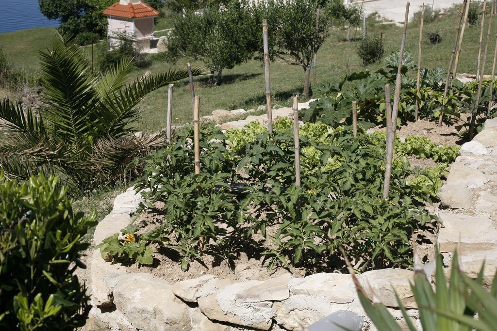 Apartments Roza Miškovići Dış mekan fotoğraf